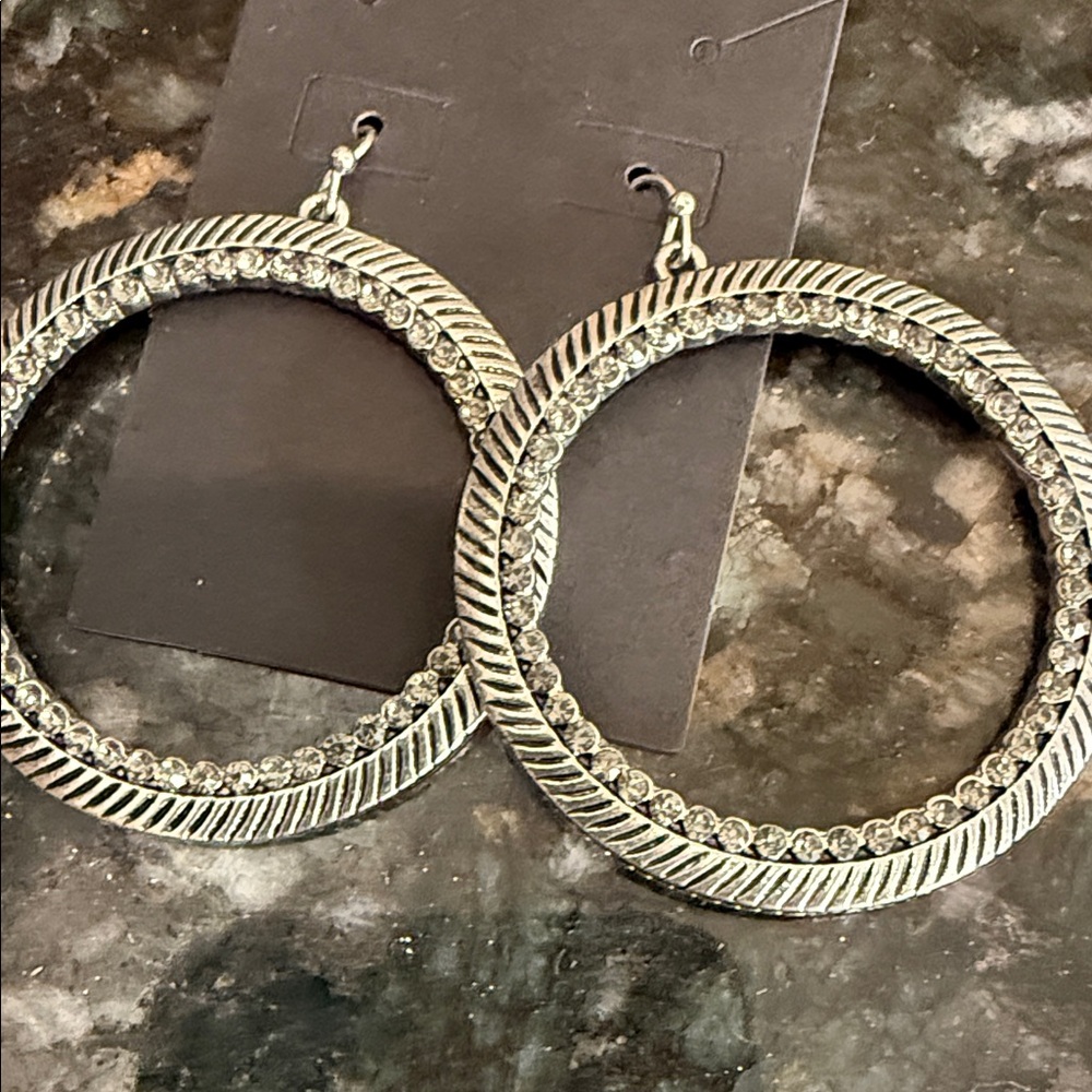 Elegant Silver Hoop Earrings